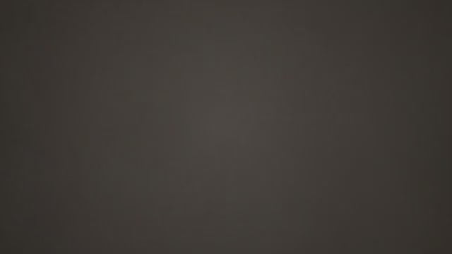 動画を読み込む: 